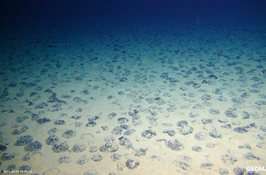  Ecco le terre rare dal mare! Con eco tecnologia italiana