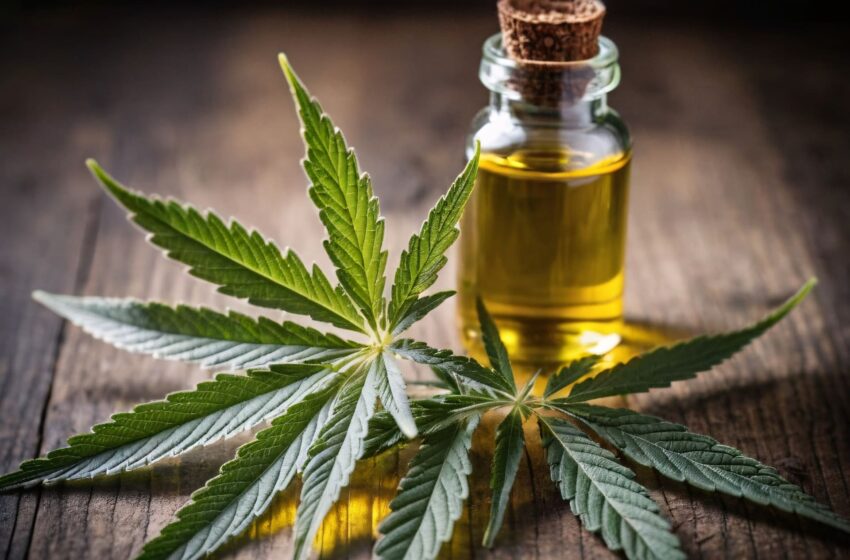  I benefici della cannabis medica per i pazienti con dolore cronico