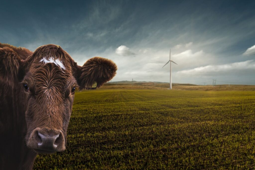green energy day