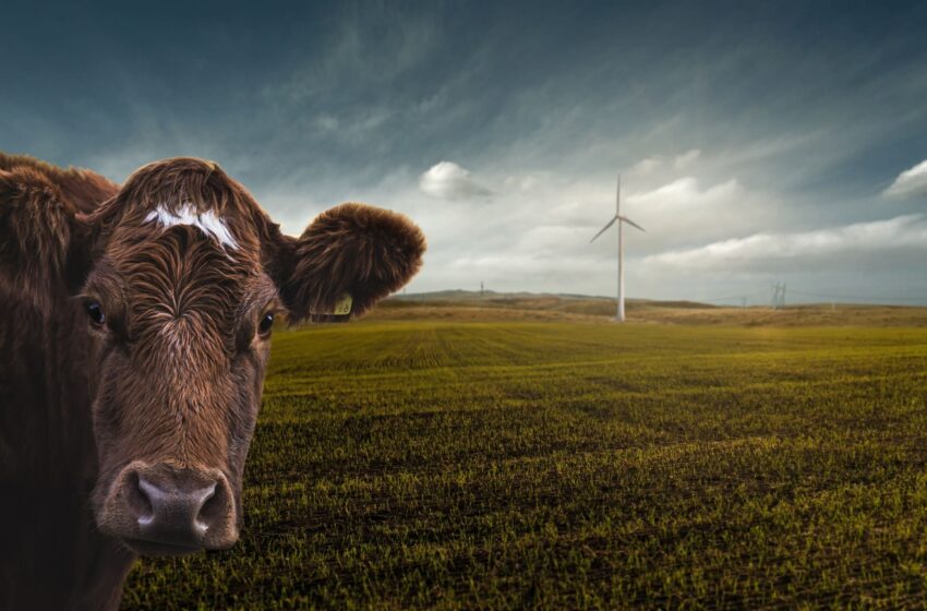 green energy day