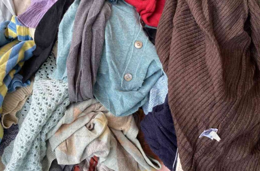 moda
