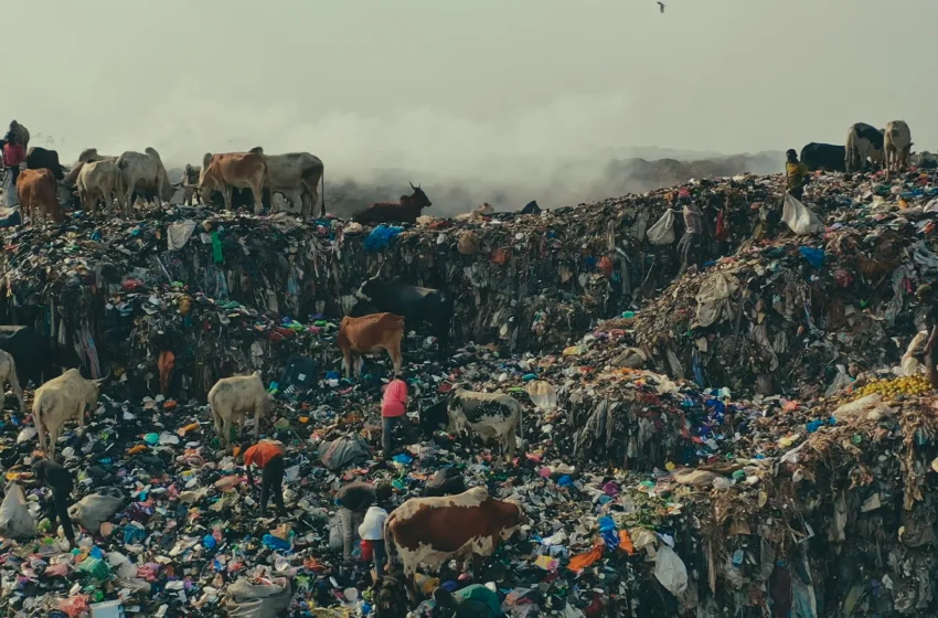  Guarda la docuserie JUNK – Armadi pieni