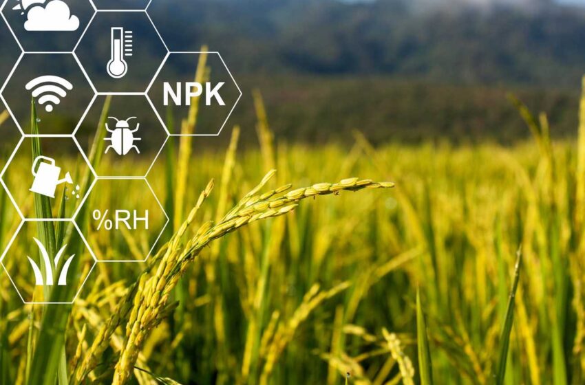  Robot agricoli autonomi e agricoltura rigenerativa su piccola scala
