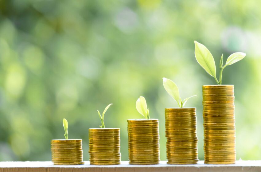  BTP Green: 11,6 mld per la transizione ecologica