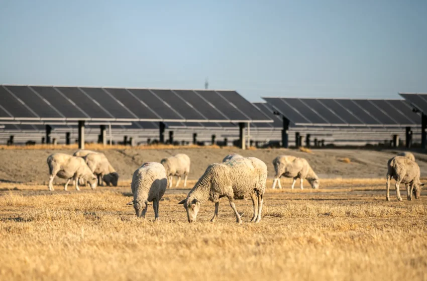 Costo delle Bollette e Rinnovabili: il caso della California
