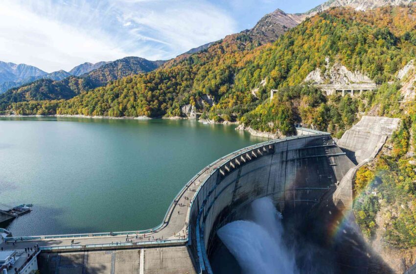  Bacini di fango: una proposta per farli rinascere