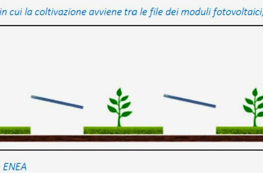  Agrivoltaico e PAC: la nota MASAF e il nodo dei “Tipo 2”