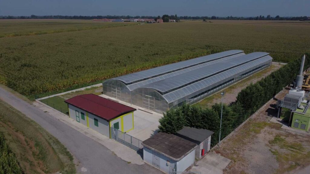 Azienda Agricola Salera