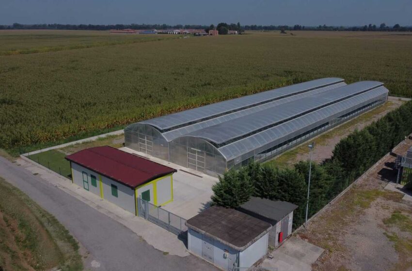  CIB Farming Days: 25 settembre, Azienda Agricola Salera