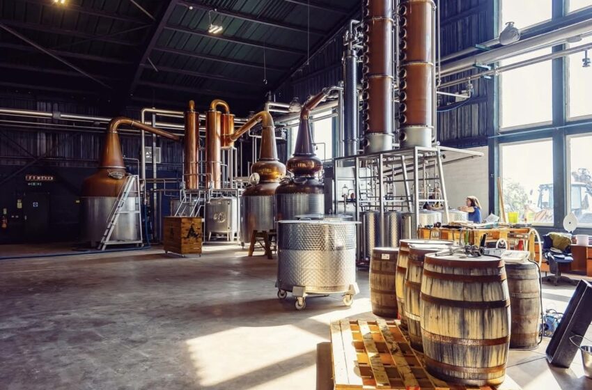  Un’idea geniale: imballaggi sostenibili dagli scarti del whisky