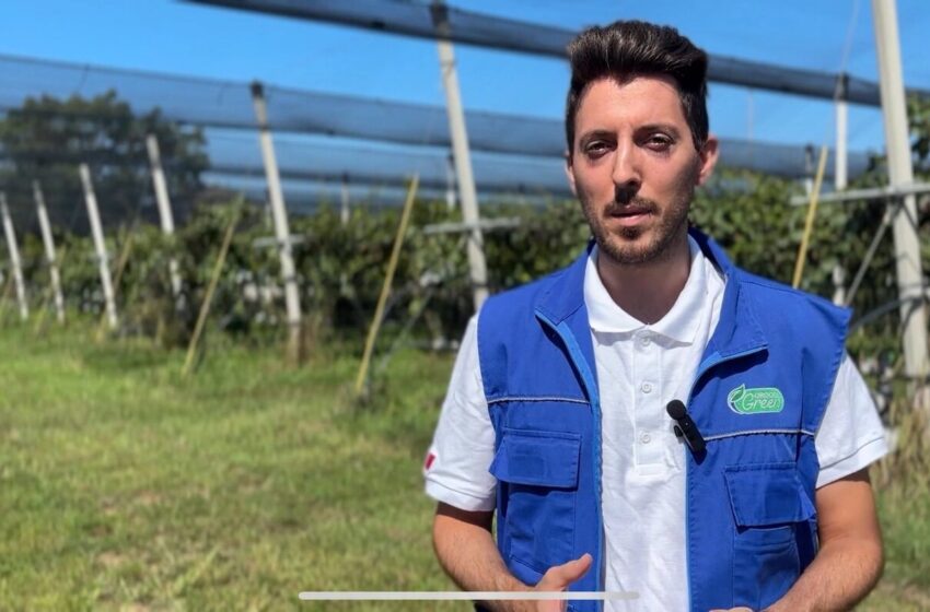 Ecofuturo TV: Agricoltura Sostenibile