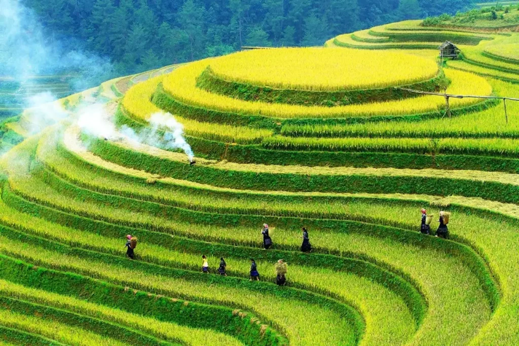 Vietnam
