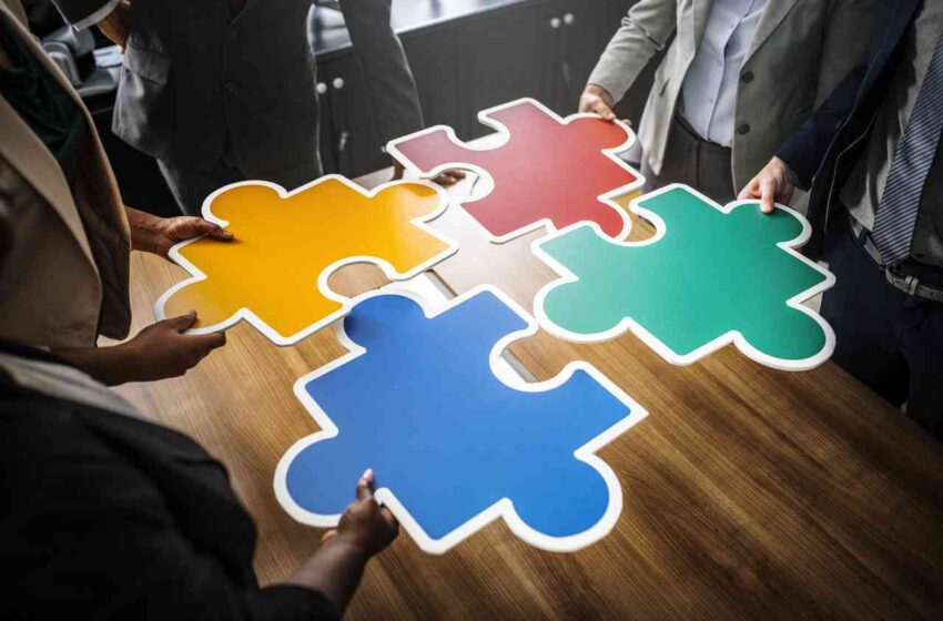 cooperativa insieme