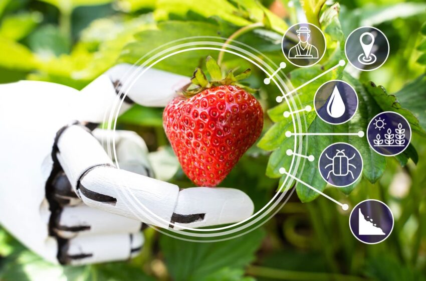  AI in Agricoltura: tutte le opportunità