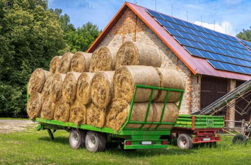  Bando Agrisolare 2026: domande fino al 9 aprile
