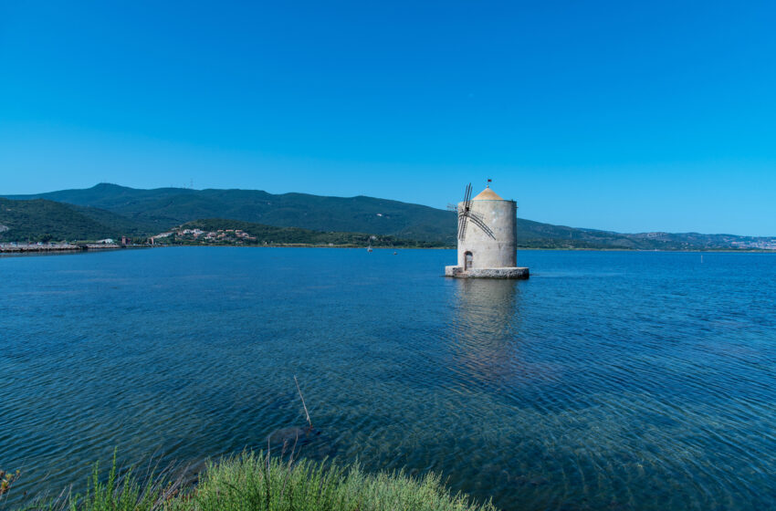 Laguna di Orbetello: dalla crisi a un ecosistema rigenerativo
