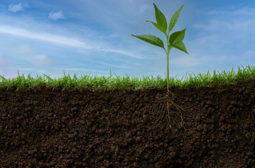  La biodiversità del “mondo di sotto” e il biogas