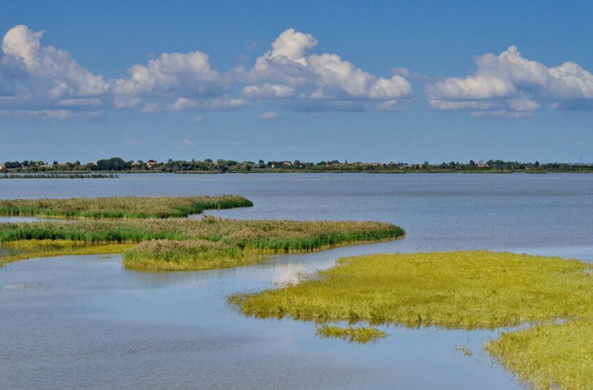  Delta del Po, una barriera intelligente per fermare la plastica