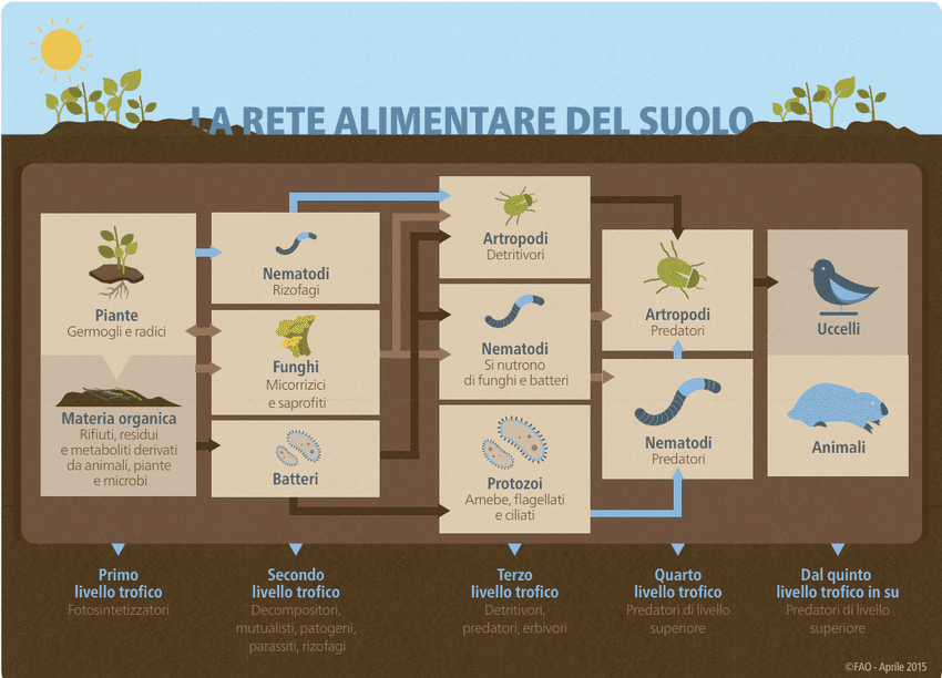 mondo di sotto