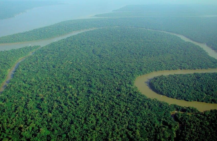  Dalla Terra Preta all’orto bioattivo e nutraceutico