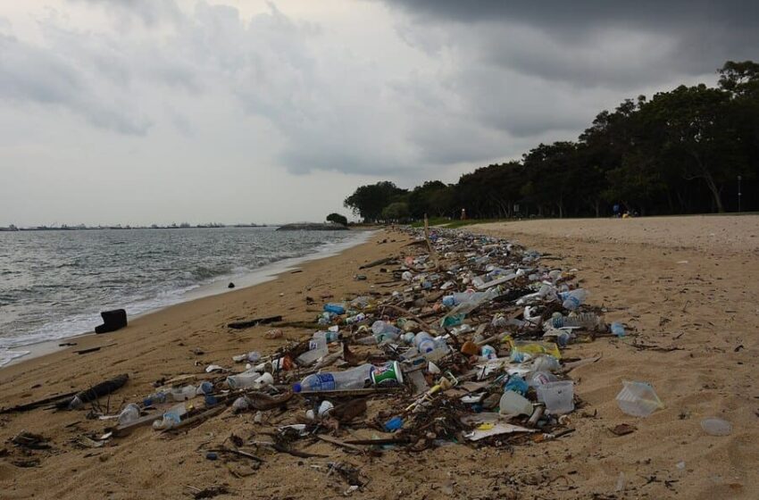 plastica in mare