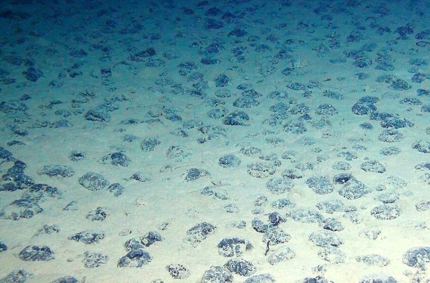  Terre rare dal fondo del mare: l’italiana Decomar vola in Canada